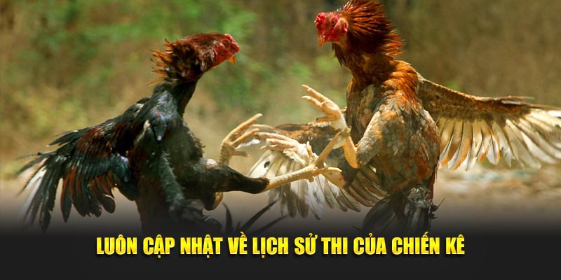 Luôn cập nhật về lịch sử thi của chiến kê