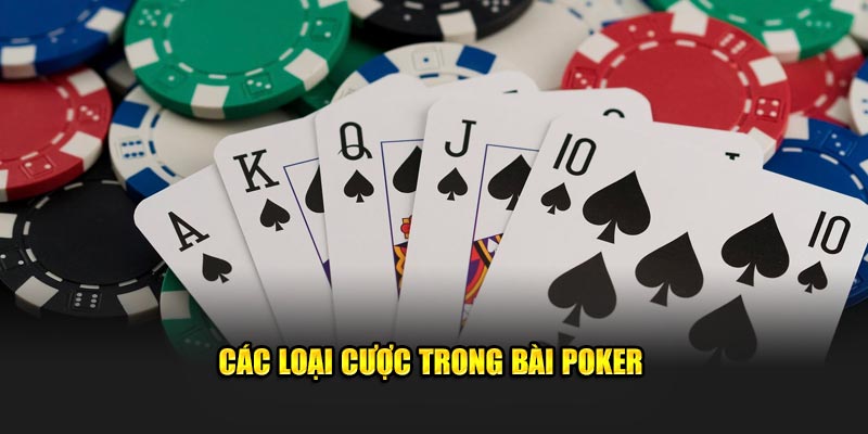 Những hình thức cược trong trò chơi Poker