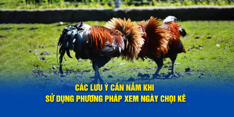 Các lưu ý cần nắm khi sử dụng phương pháp xem ngày chọi kê