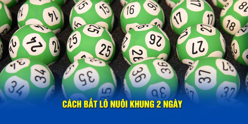 Cách bắt lô nuôi khung 2 ngày