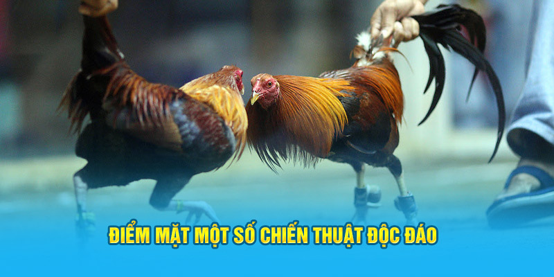 Điểm mặt một số chiến thuật độc đáo