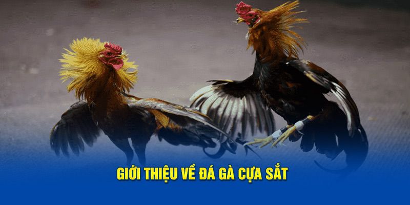 Thông tin cơ bản về đá gà cựa sắt