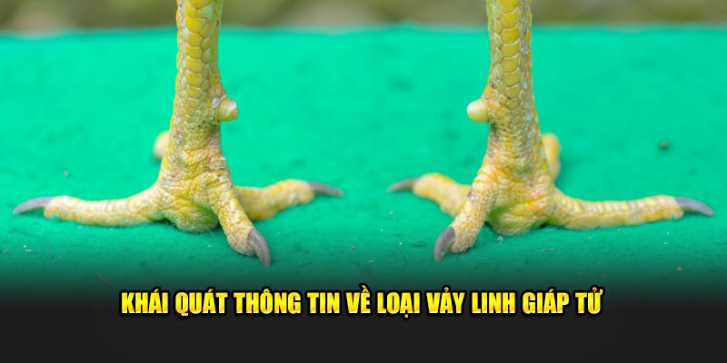 Khái quát thông tin về loại vảy linh giáp tử