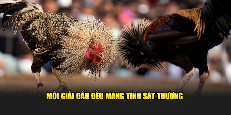 Mỗi giải đấu đều mang tính sát thương 