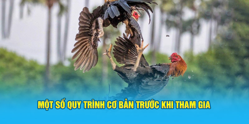 Một số quy trình cơ bản trước khi tham gia