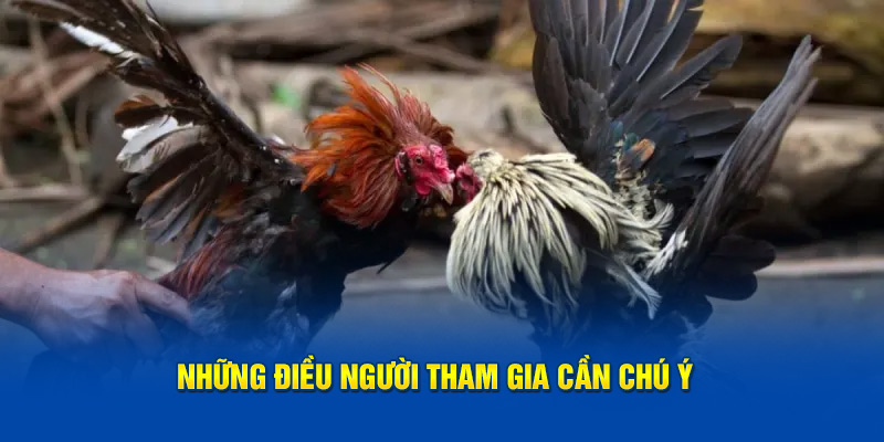 Những điều người tham gia cần chú ý