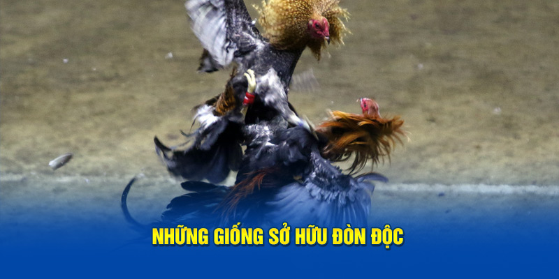 Những giống sở hữu đòn độc