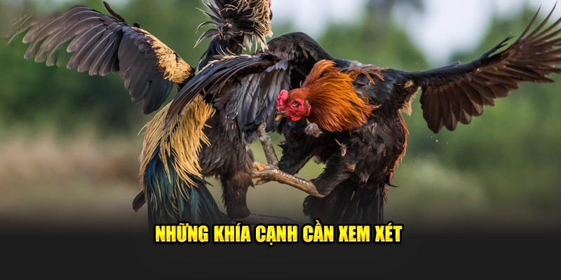 Những khía cạnh cần xem xét