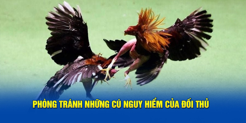 Phòng tránh những cú nguy hiểm của đối thủ  