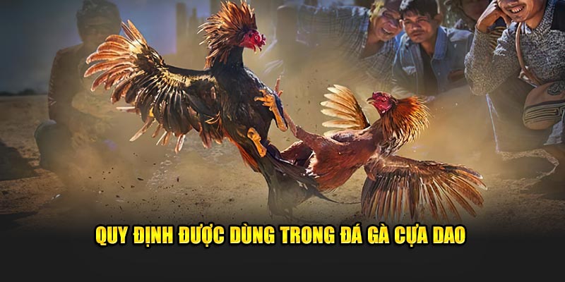 Quy định được dùng trong đá gà cựa dao