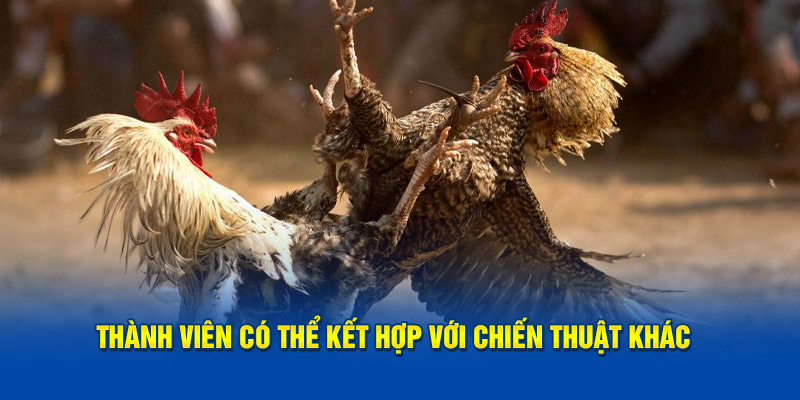 Thành viên có thể kết hợp với chiến thuật khác