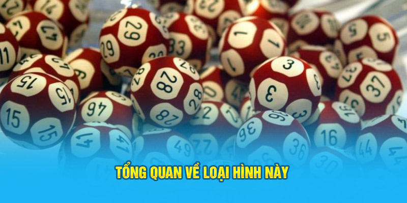 Tổng quan về loại hình này