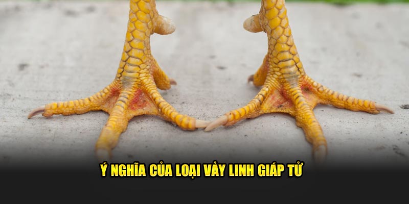 Ý nghĩa của loại vảy linh giáp tử 